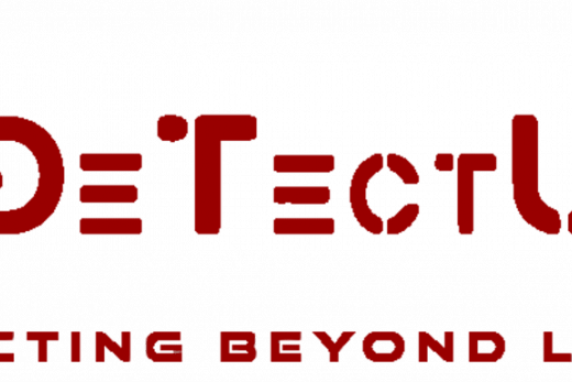 DetectUs logo 2024